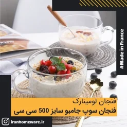 فنجان سوپ جامبو لومینارک سایز 500 سی سی Luminarc JUMBO 50cl اصل فرانسه