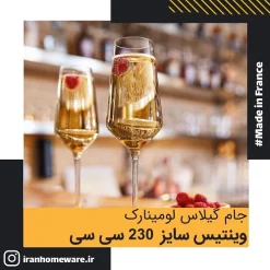 جام گیلاس لومینارک وینتس سایز 230 سی سی اصل فرانسه